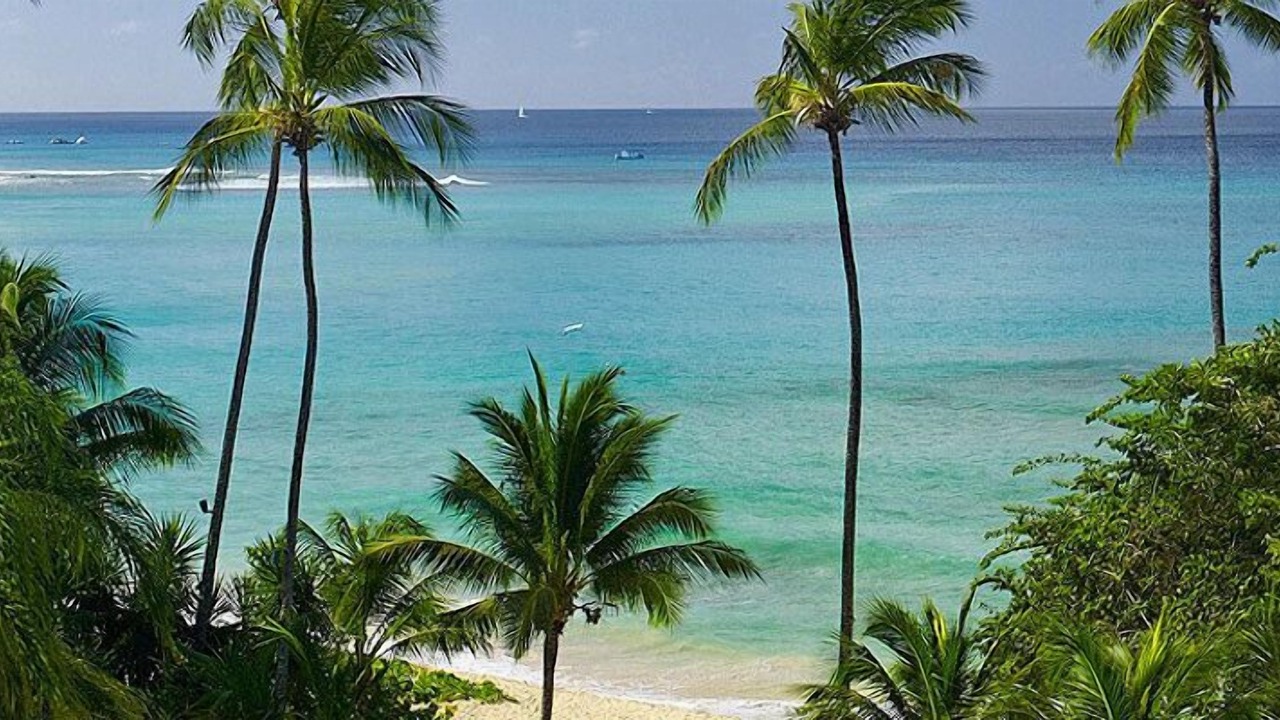 Photo of Others in Schooner Bay