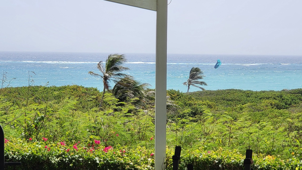 Photo of Outdoor in Seaview