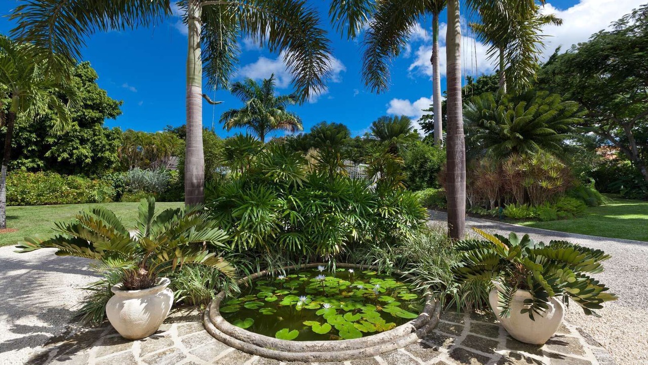 Photo of Outdoor in Sandy Lane