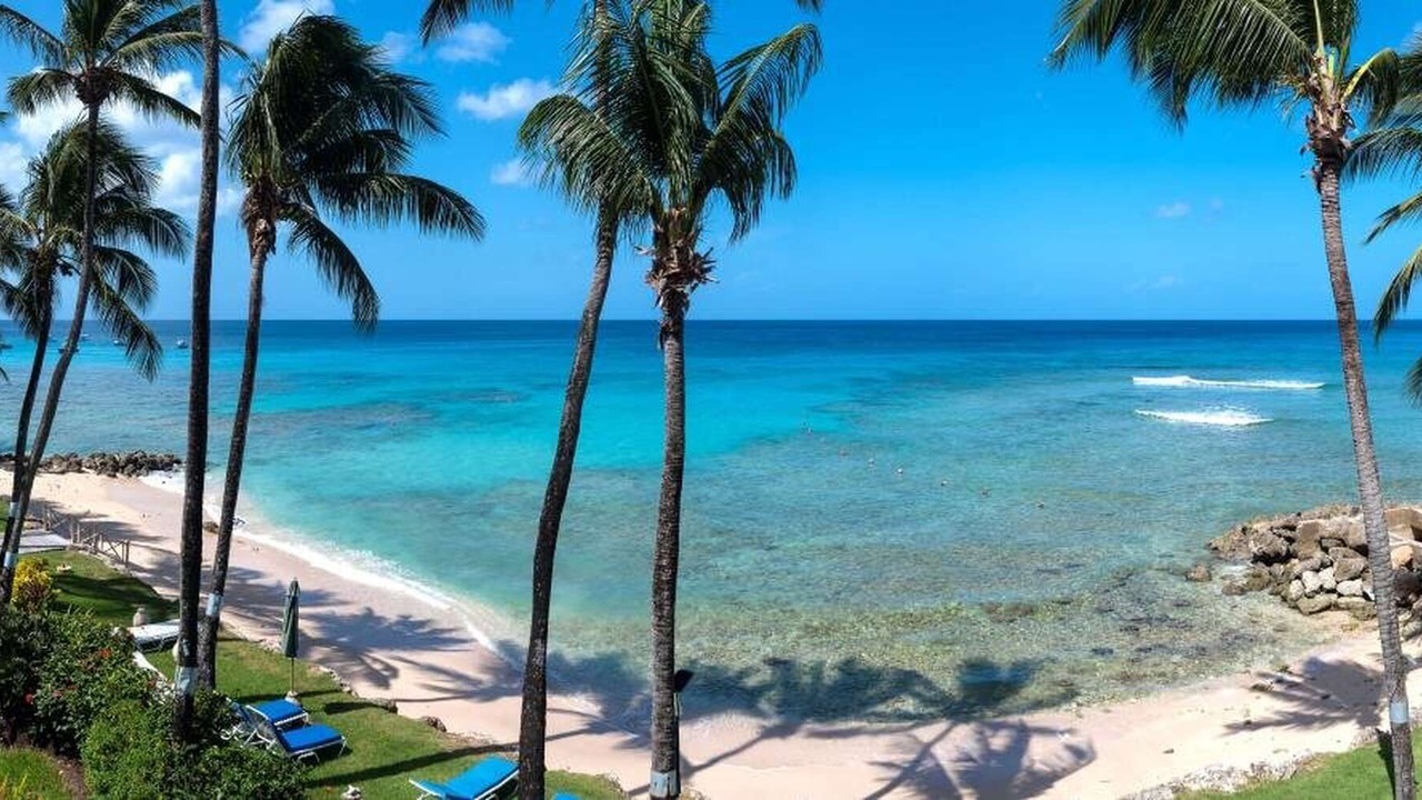 Photo of Others in Reeds Bay