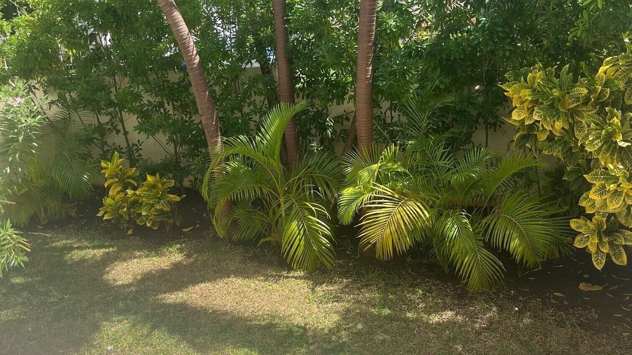 Photo of Outdoor in Little Battaleys