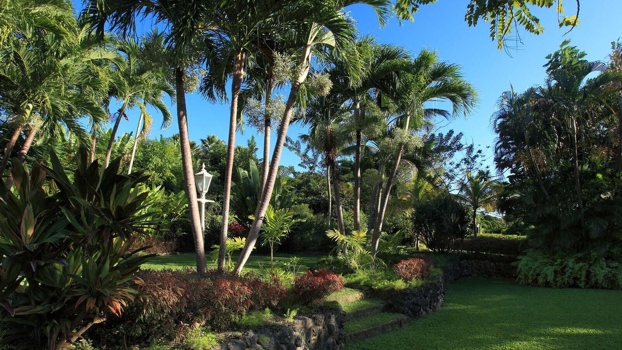 Photo of Outdoor in Paynes Bay