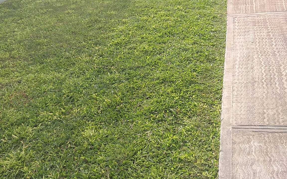 Photo of Outdoor in Ealing Park