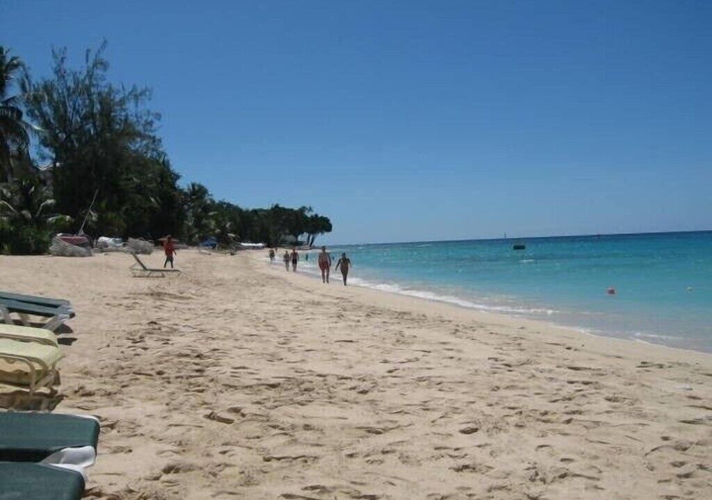 Photo of Others in Old Trees Bay