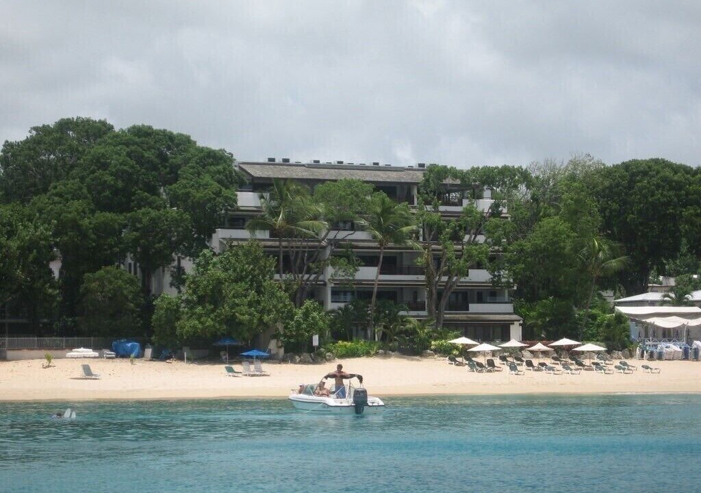 Photo of Others in Old Trees Bay