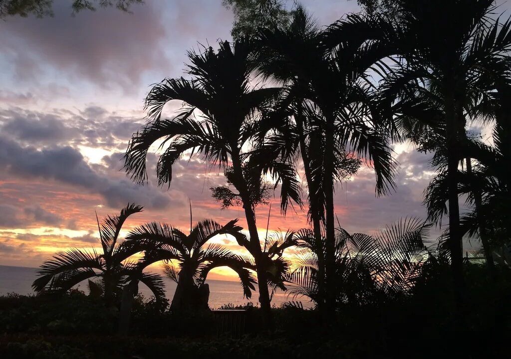 Photo of Outdoor in Old Trees Bay