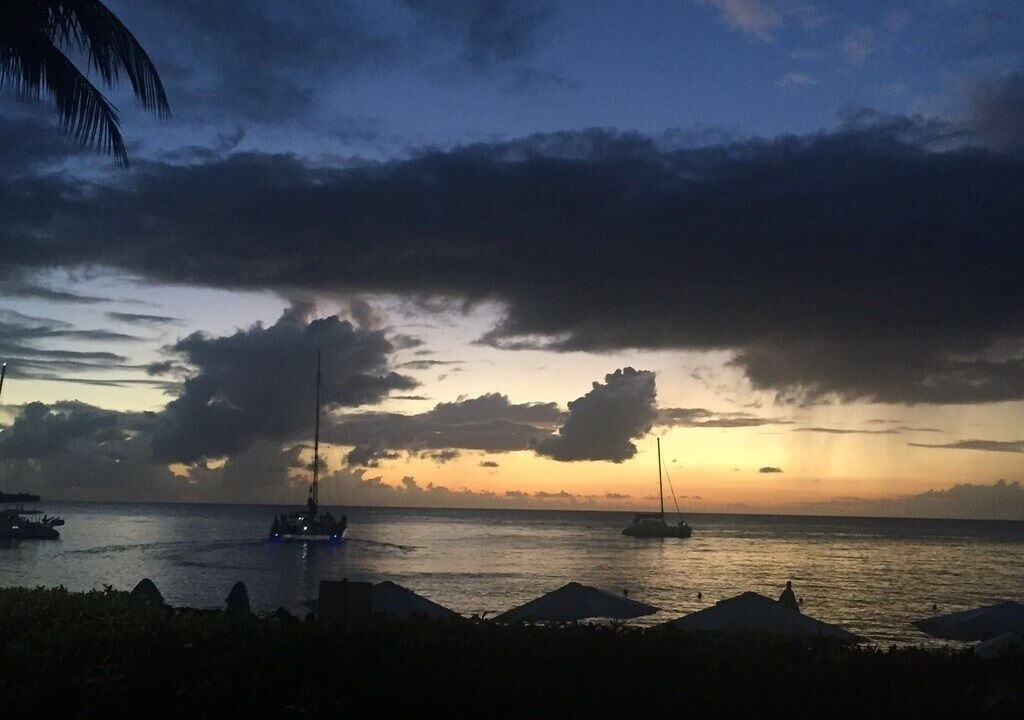 Photo of Others in Old Trees Bay