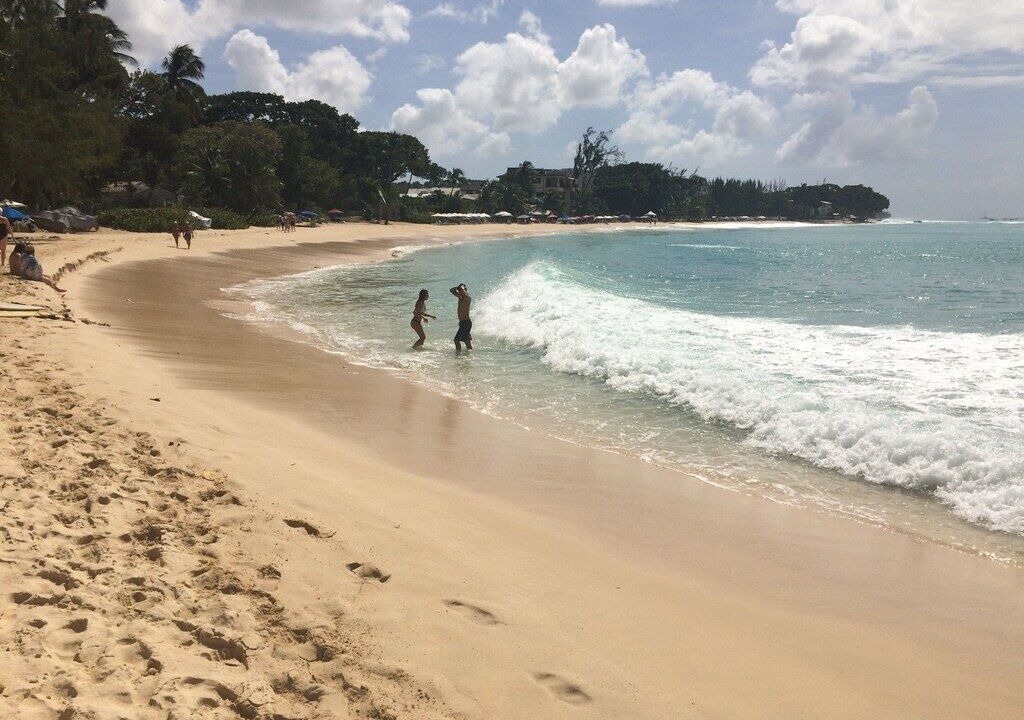 Photo of Others in Old Trees Bay