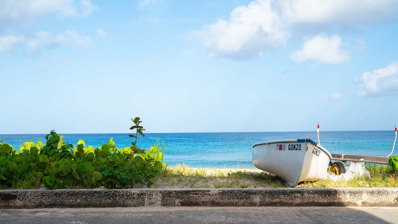 Photo of Others in Speightstown