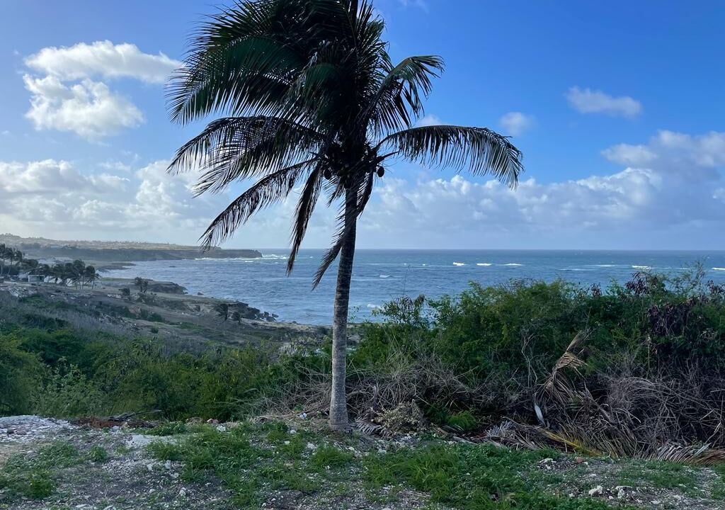 Photo of Outdoor in Marley Vale