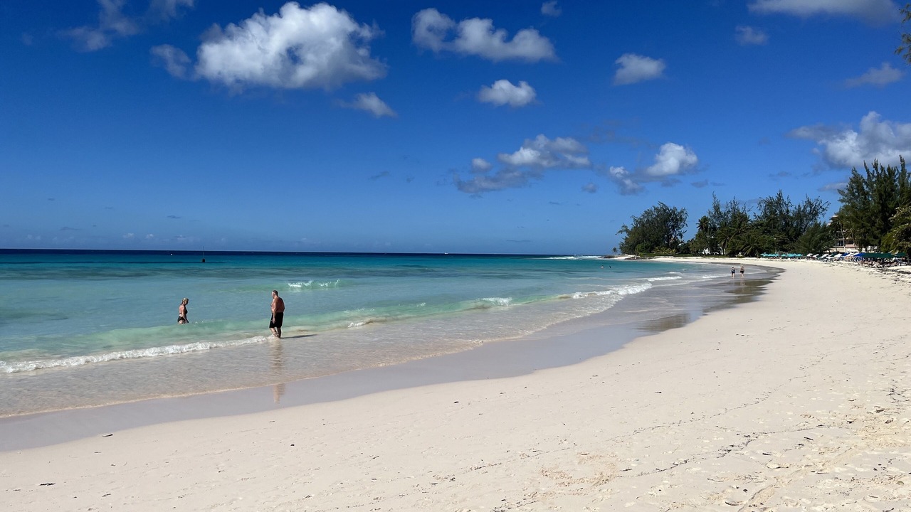 Photo of Others in Bridgetown