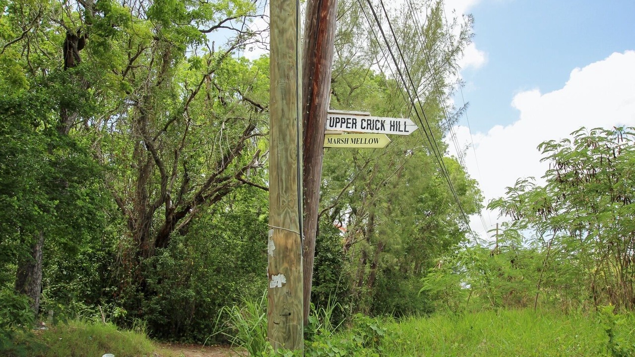 Photo of Outdoor in Weston