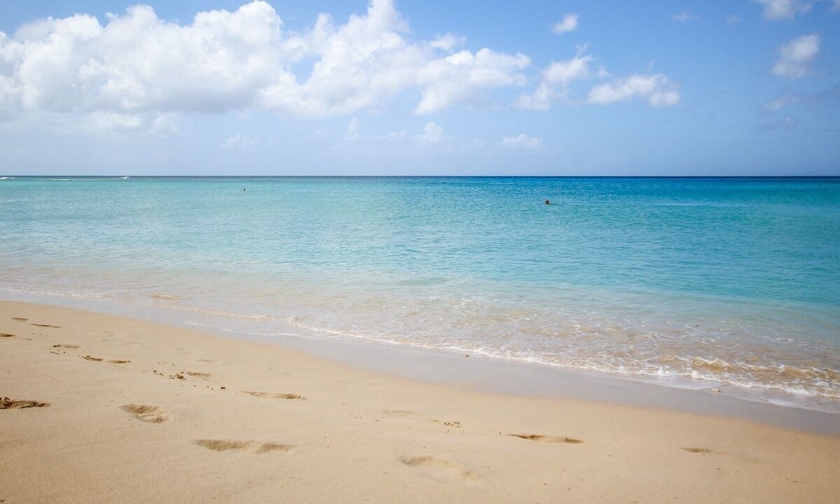 Photo of Others in Reeds Bay