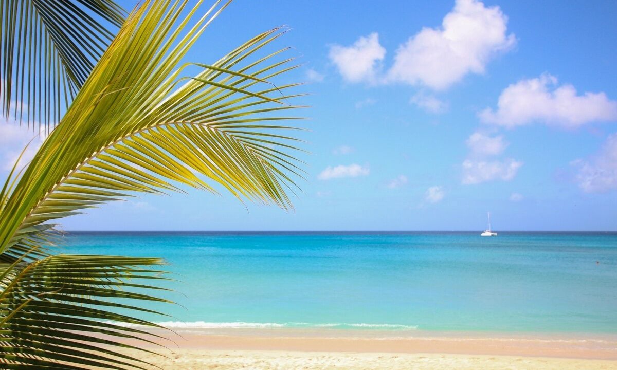 Photo of Others in Reeds Bay