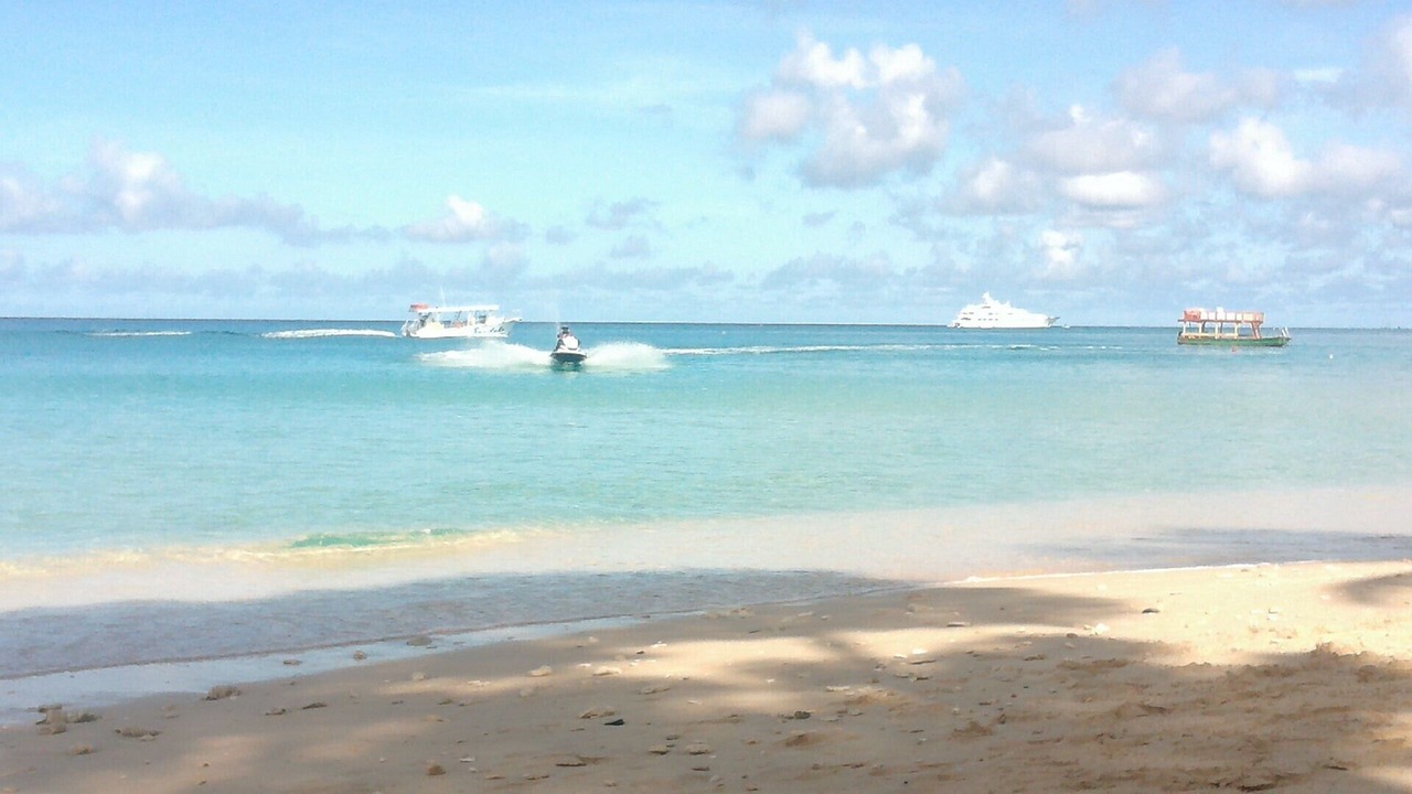 Photo of Others in Old Trees Bay