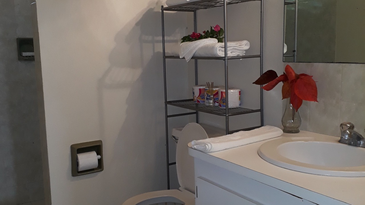 Photo of Bathroom in Frere Pilgrim
