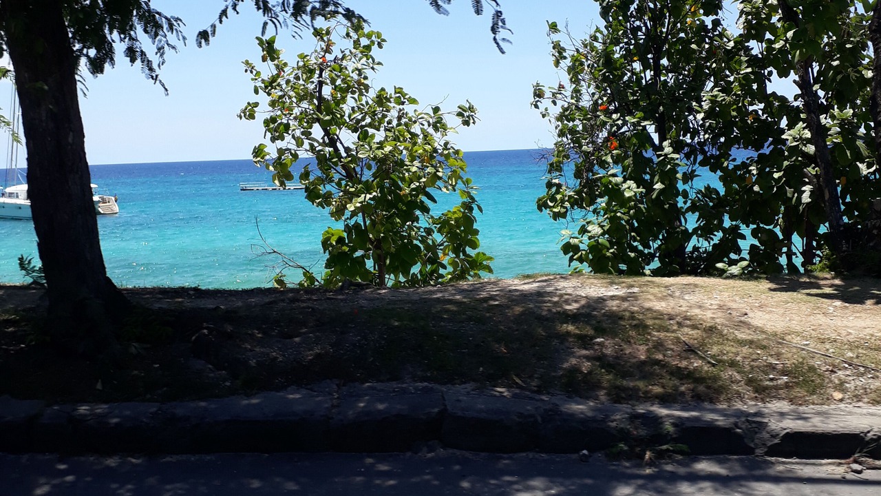 Photo of Others in Old Trees Bay
