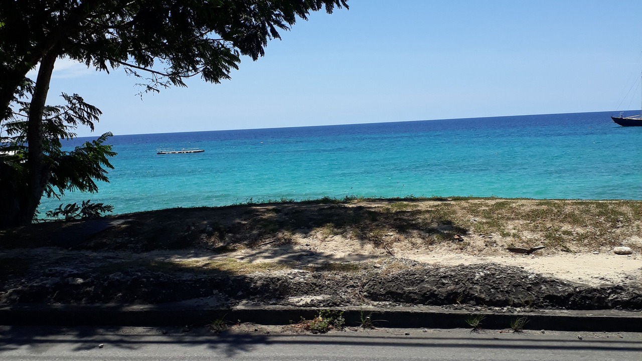 Photo of Others in Old Trees Bay
