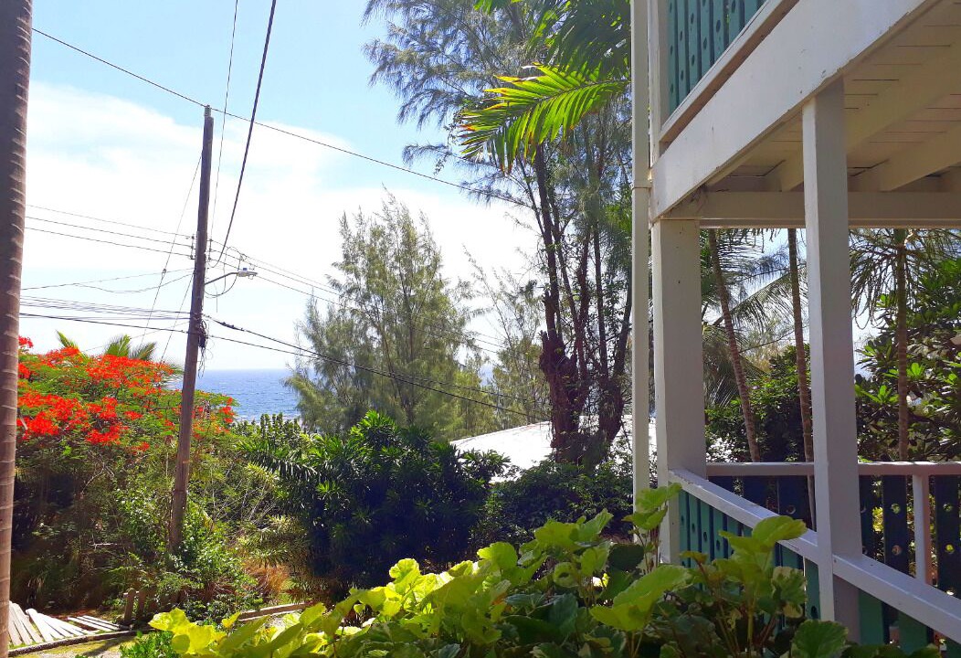 Photo of Outdoor in Atlantic Park