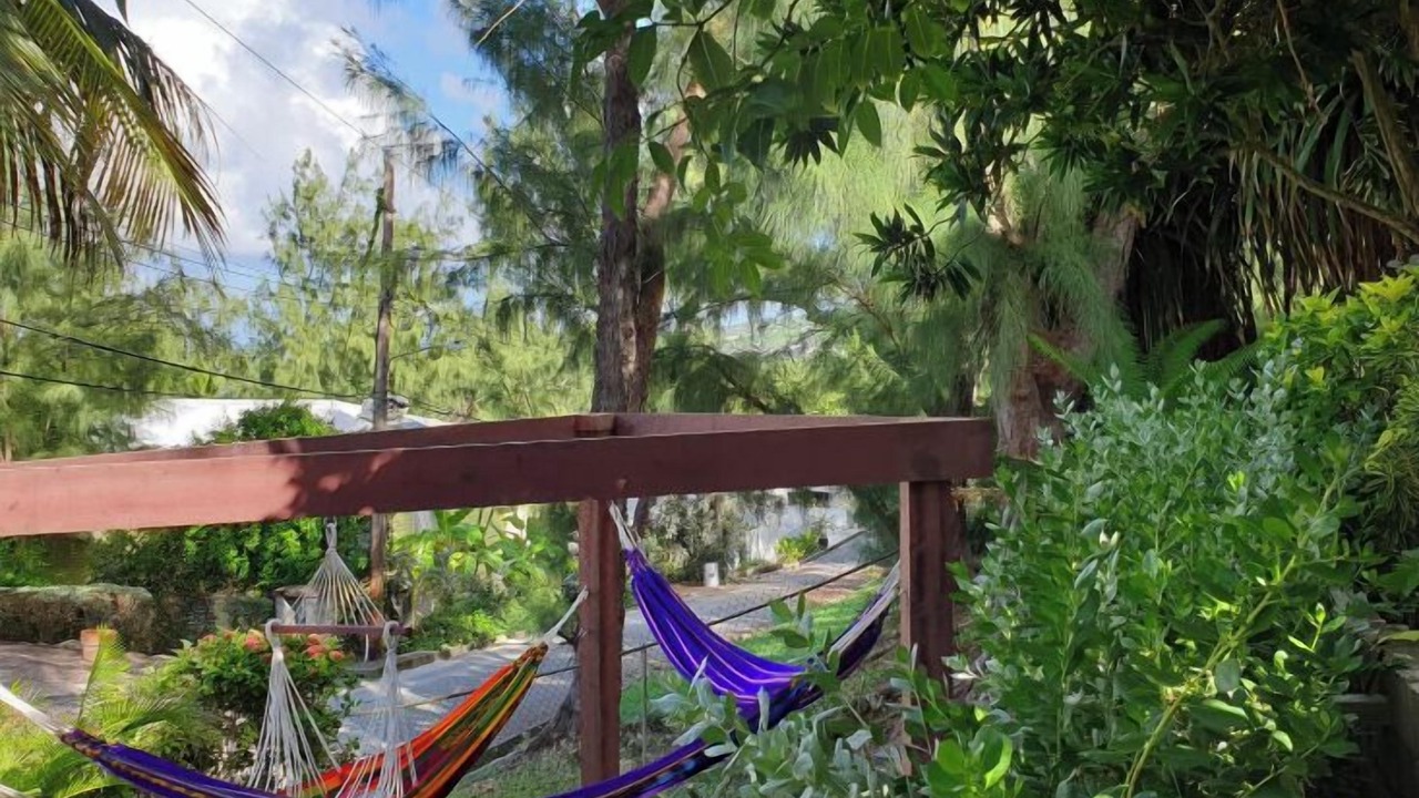 Photo of Outdoor in Atlantic Park