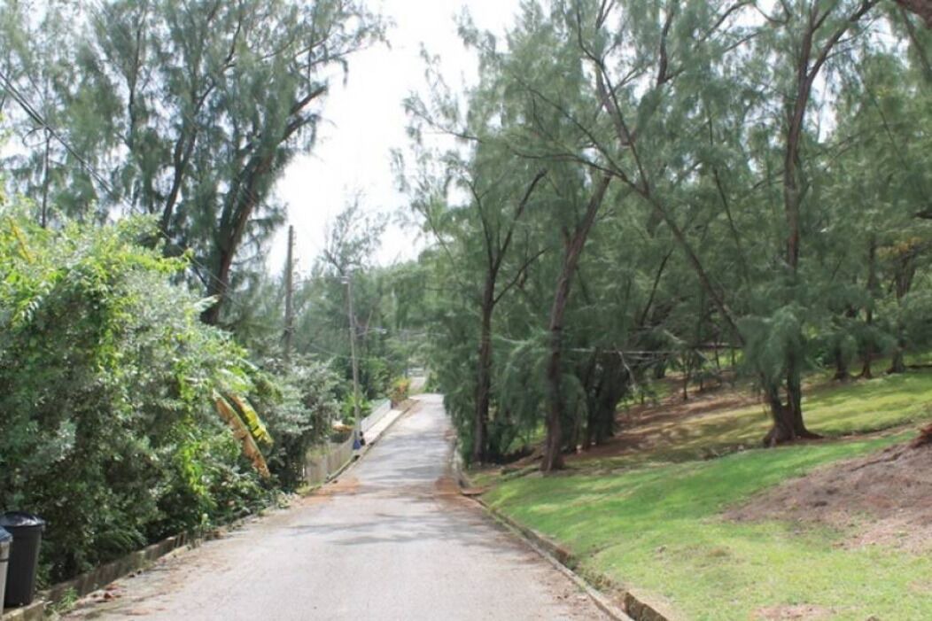 Photo of Outdoor in Atlantic Park