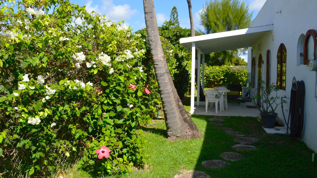 Photo of Outdoor in Silver Sands