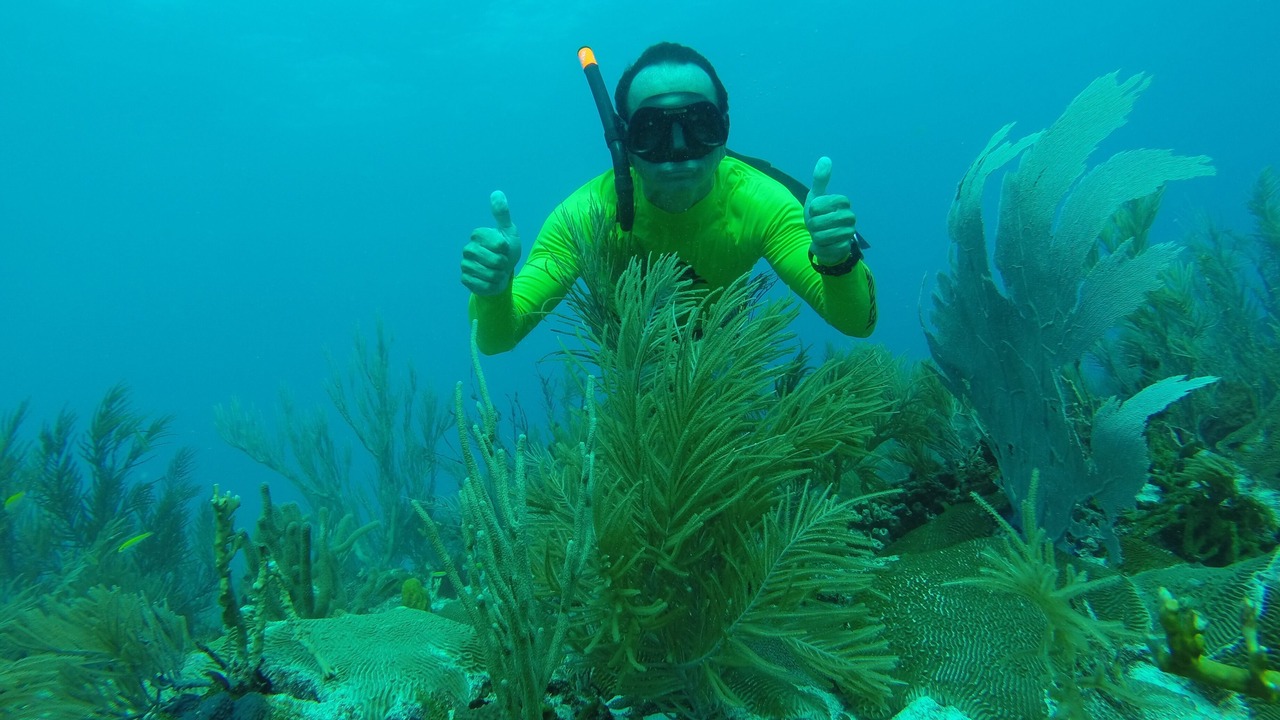 Photo of Others in Silver Sands