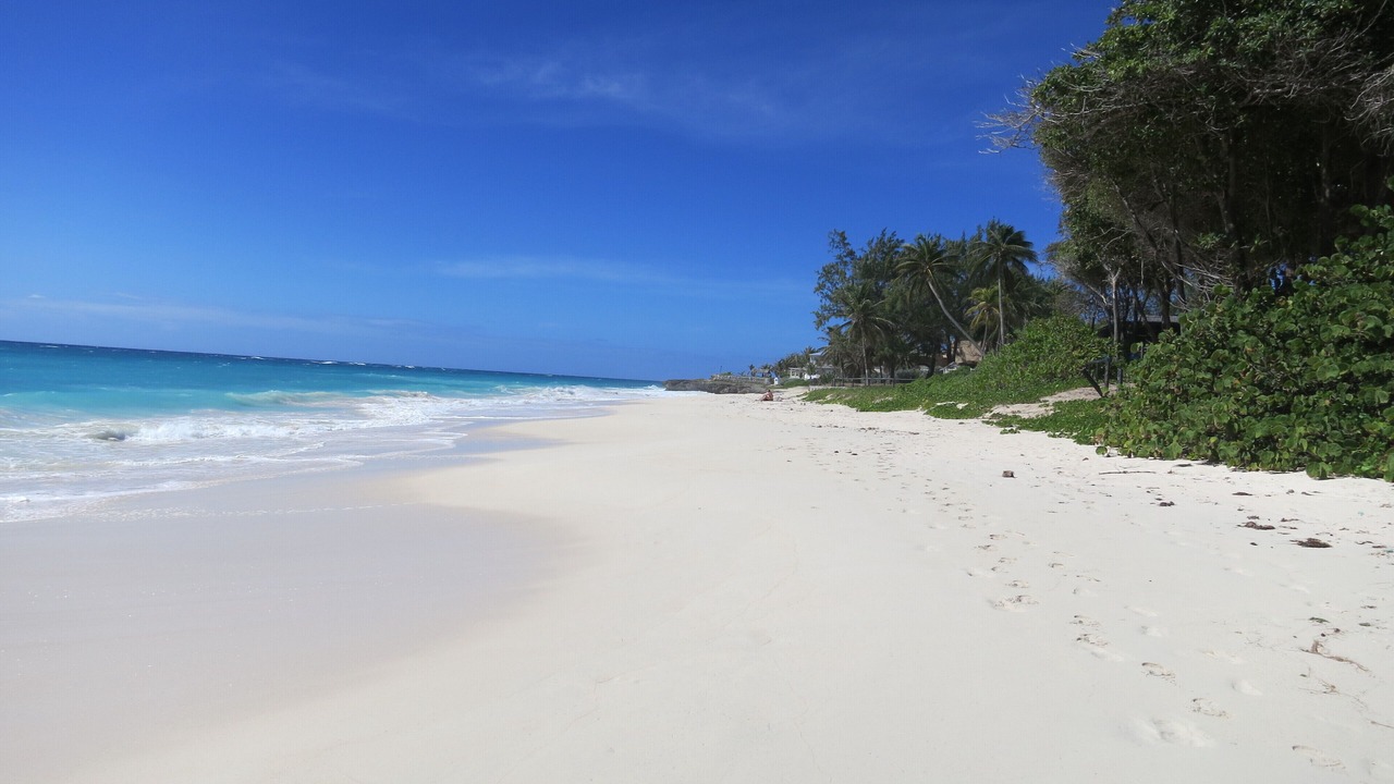 Photo of Others in Silver Sands