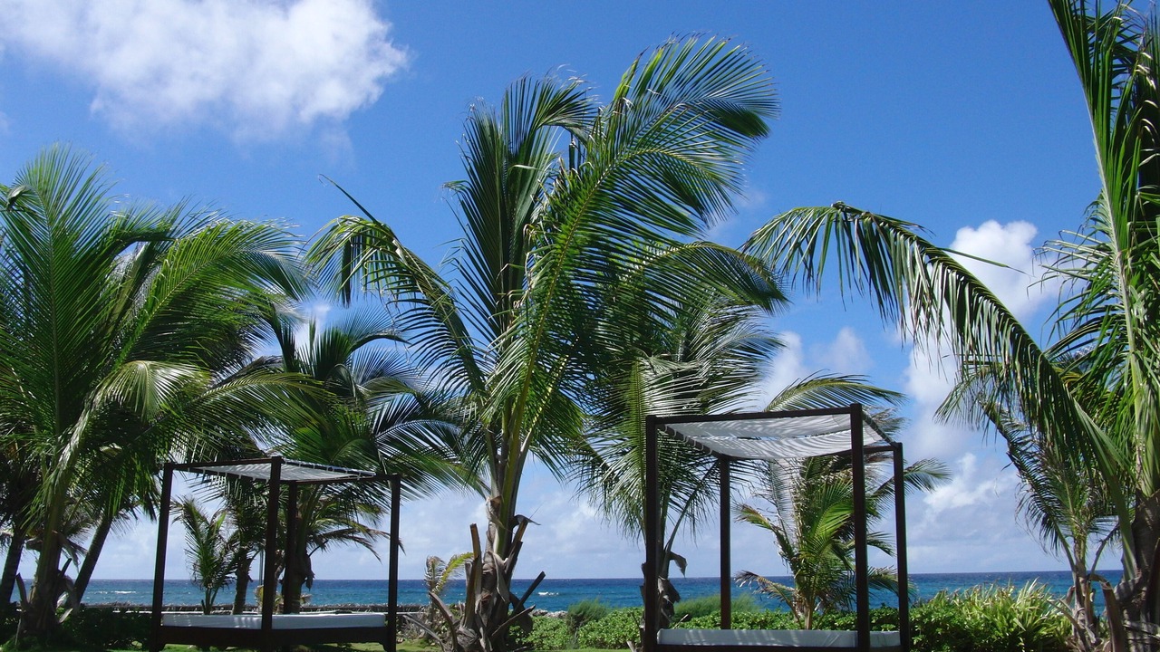 Photo of Outdoor in Silver Sands