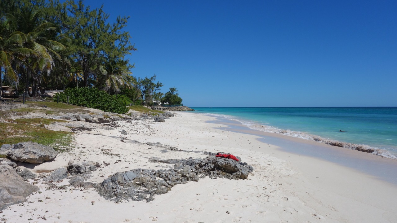 Photo of Others in Silver Sands