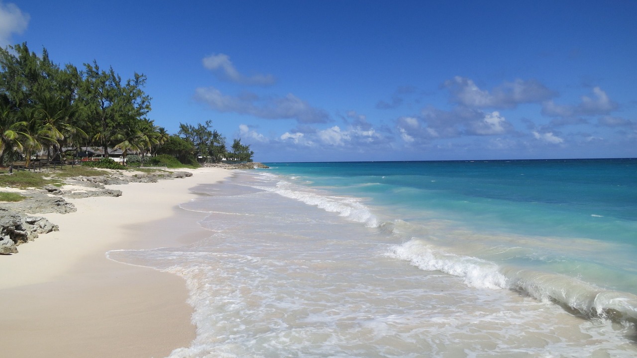 Photo of Others in Silver Sands
