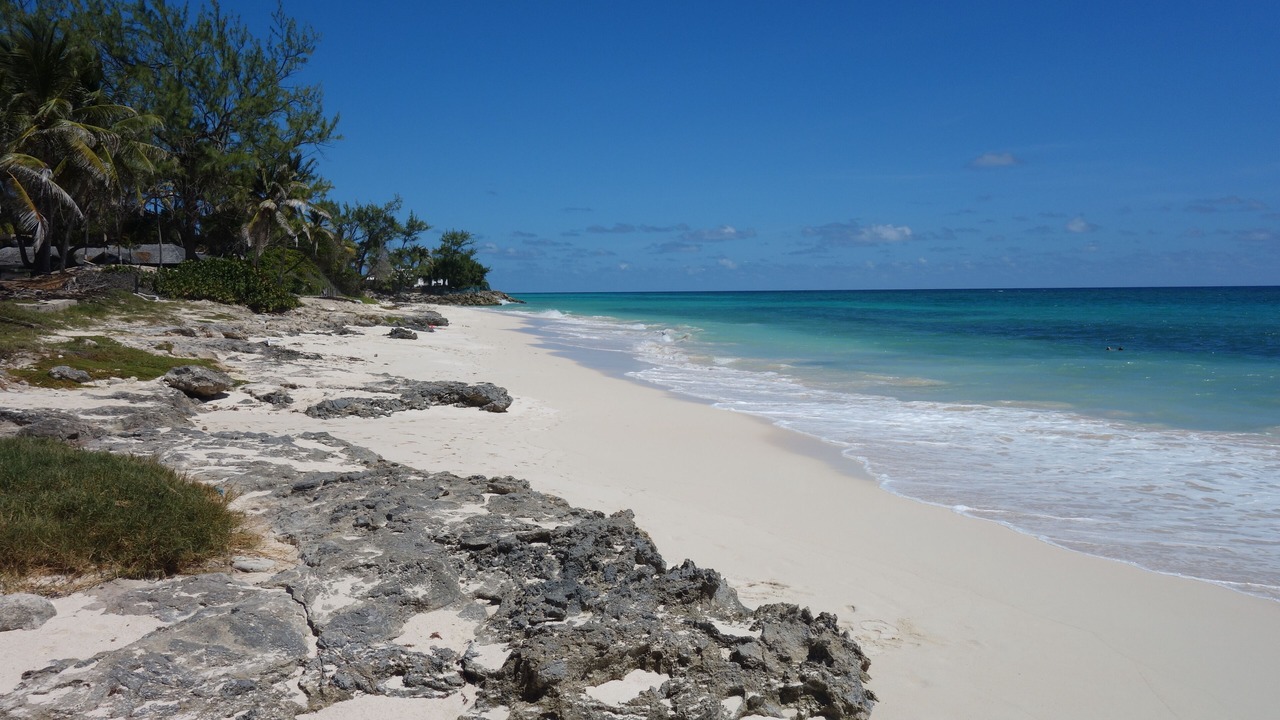 Photo of Others in Silver Sands