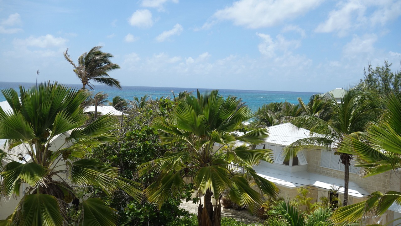 Photo of Outdoor in Silver Sands