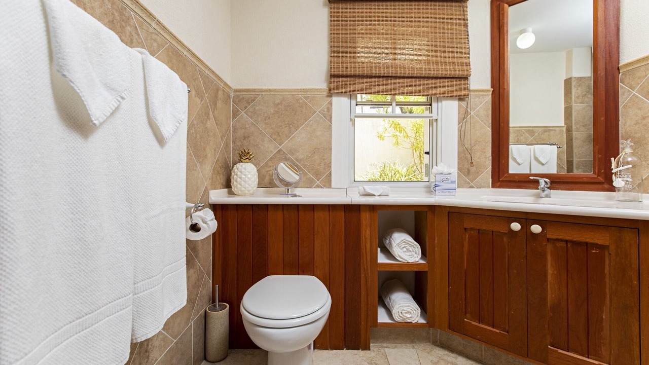 Photo of Bathroom in Mount Brevitor