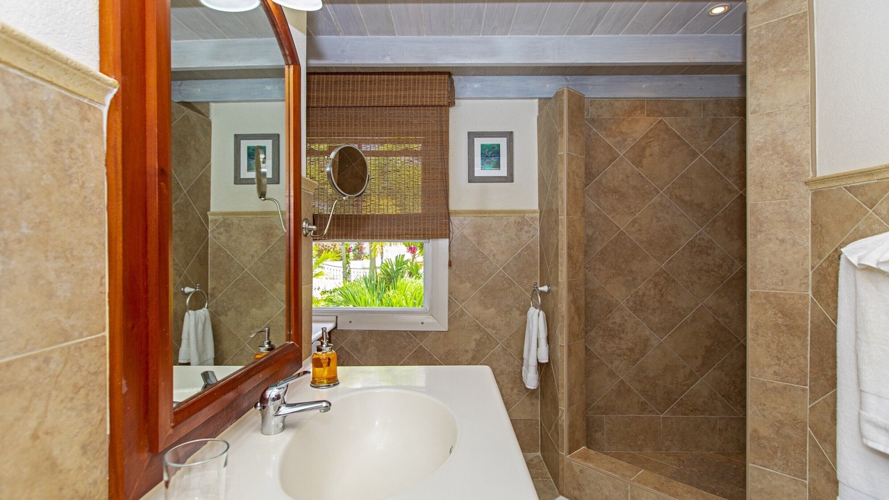 Photo of Bathroom in Mount Brevitor