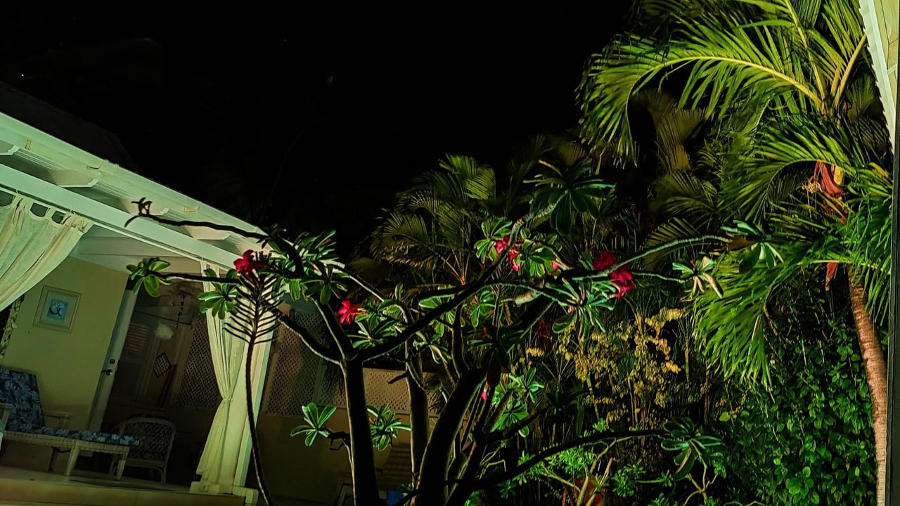 Photo of Outdoor in Apple Hall
