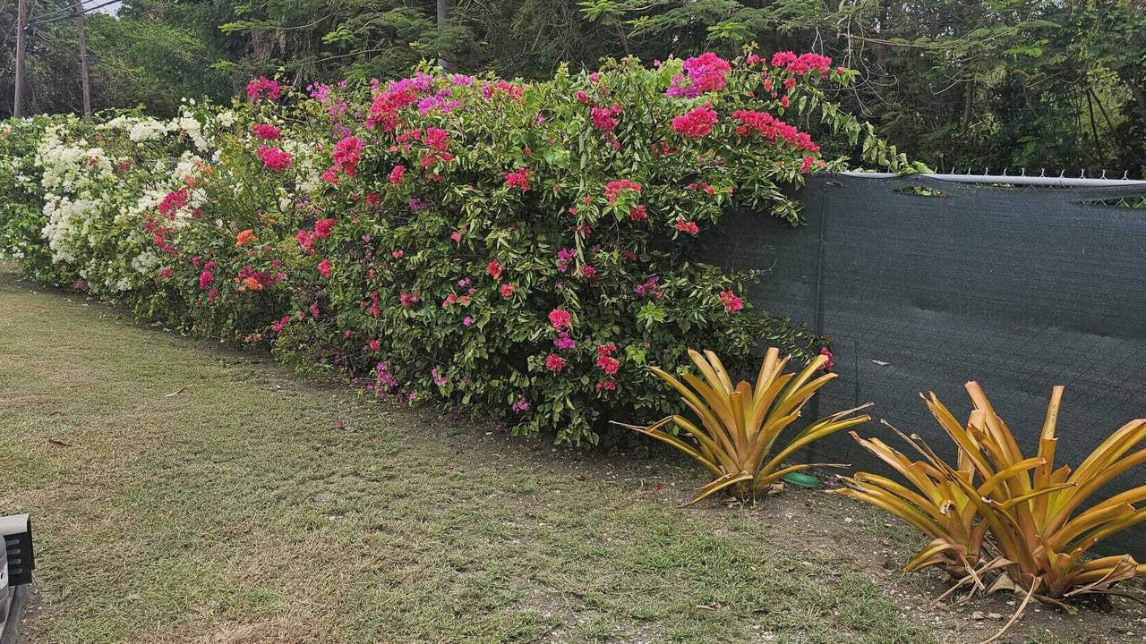 Photo of Outdoor in Callendar