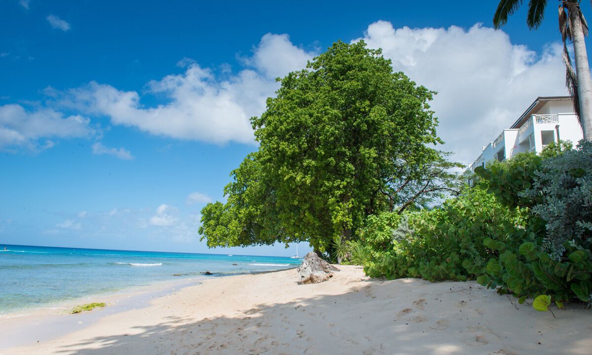 Photo of Others in Old Trees Bay
