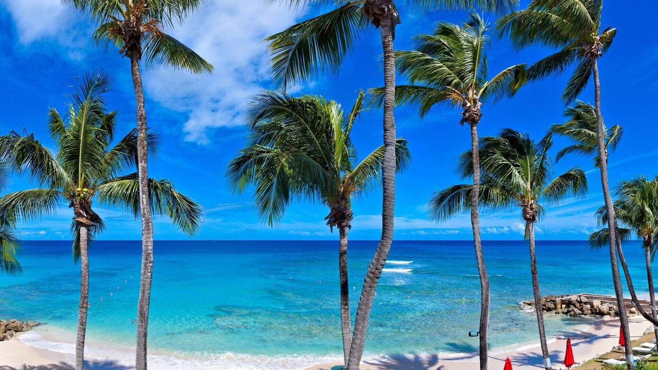 Photo of Others in Reeds Bay