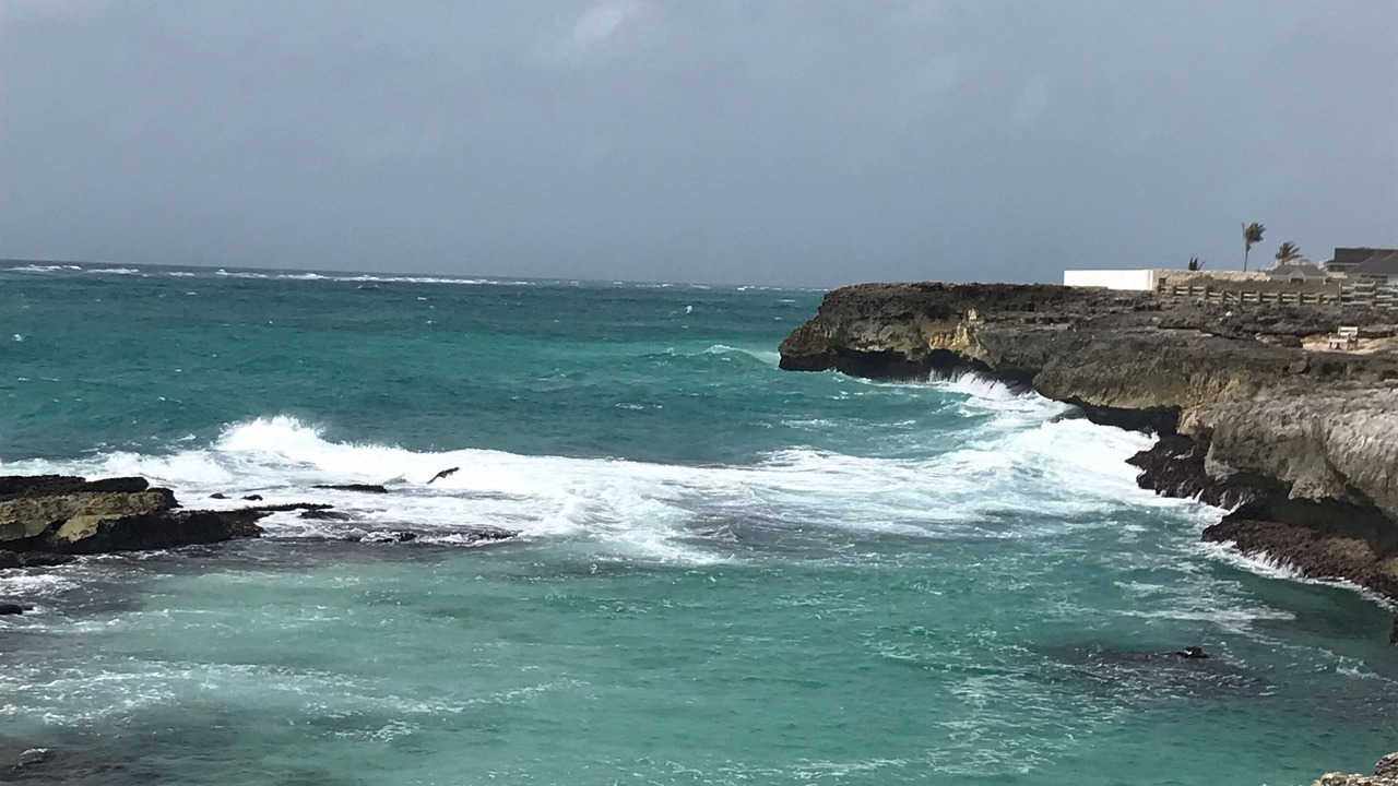 Photo of Others in Long Bay