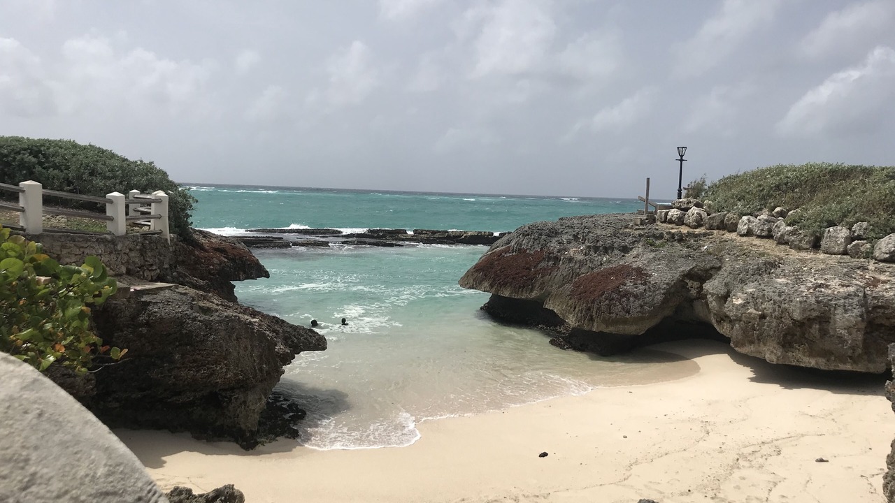 Photo of Others in Long Bay