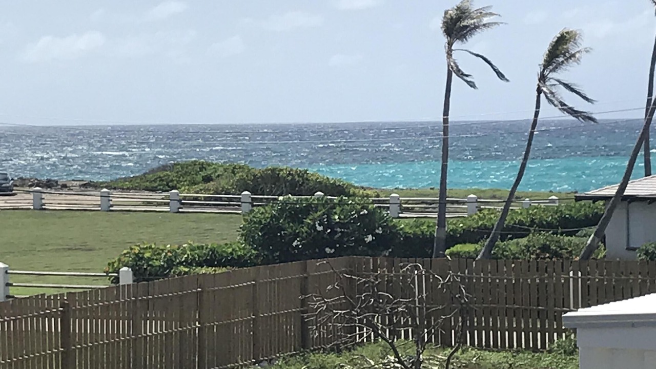 Photo of Others in Long Bay