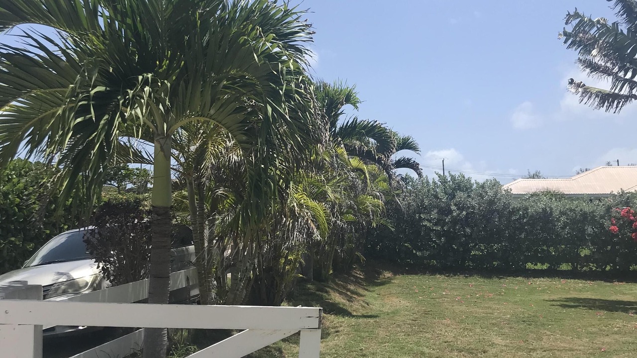 Photo of Others in Long Bay