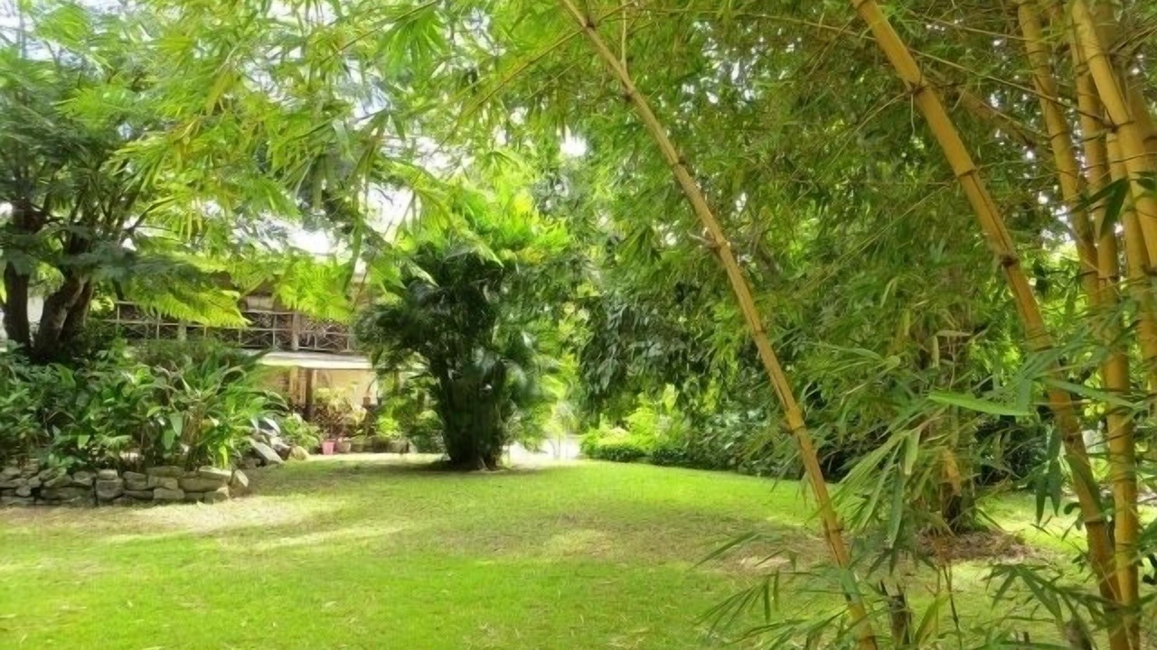 Photo of Outdoor in Pine Gardens