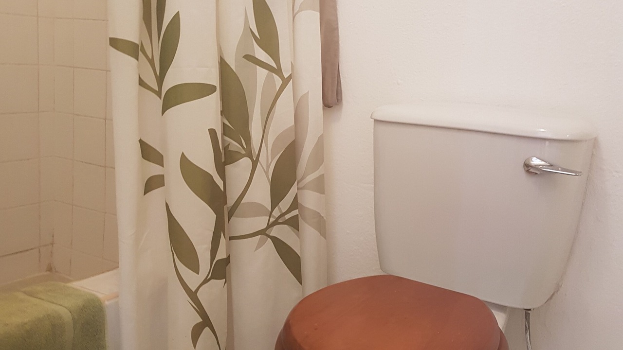 Photo of Bathroom in Pine Gardens