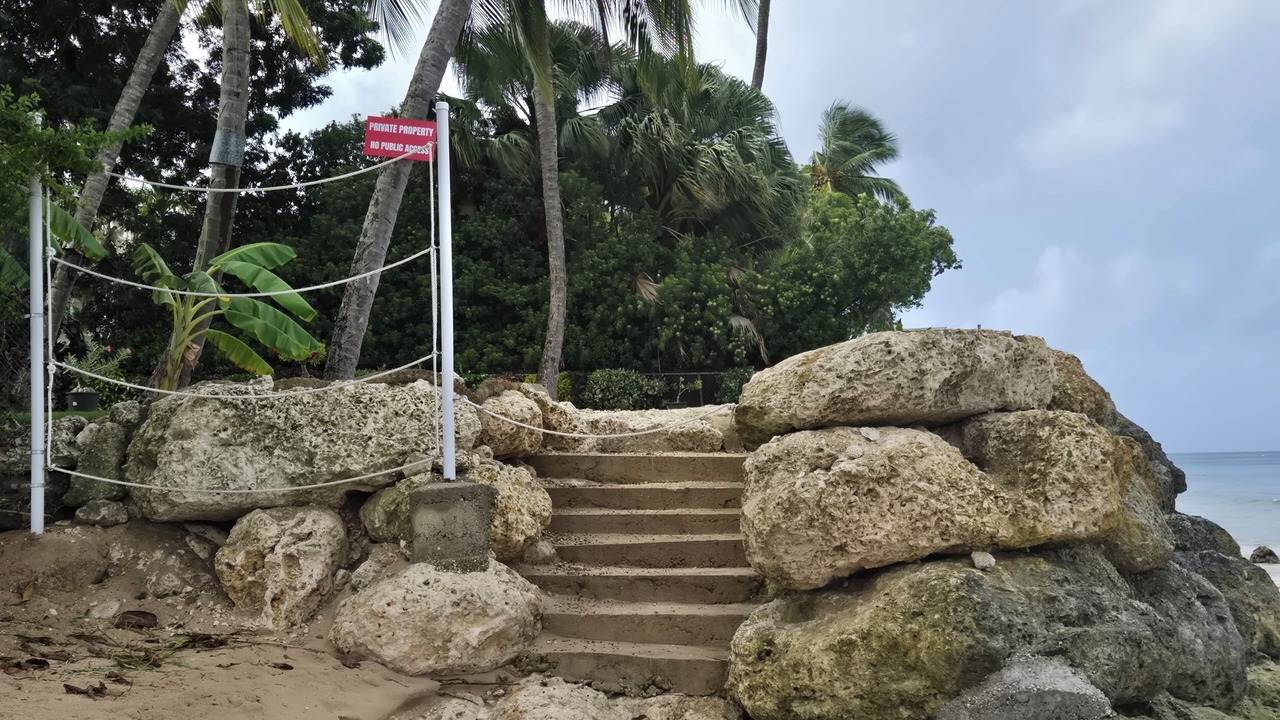 Photo of Outdoor in Weston