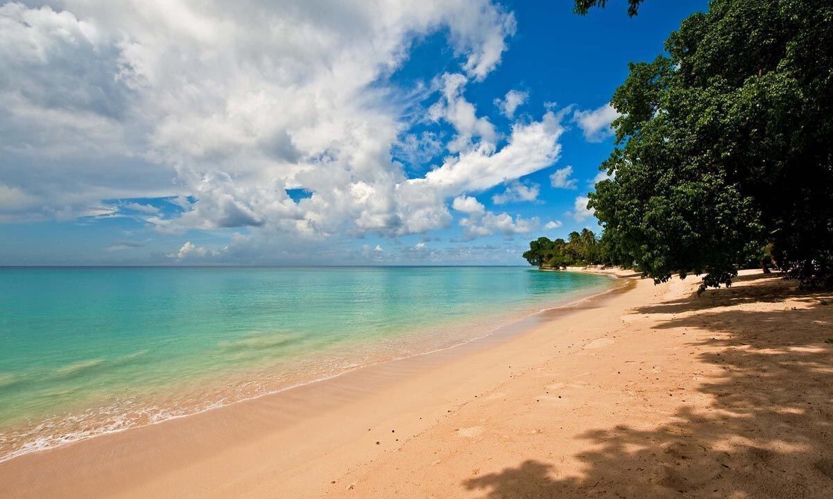 Photo of Others in Reeds Bay