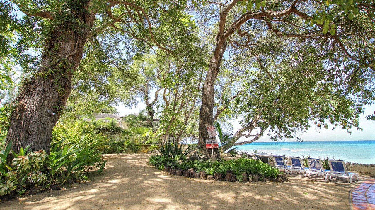 Photo of Outdoor in Mullins