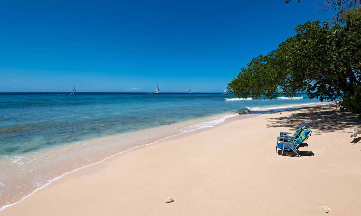 Photo of Others in Old Trees Bay