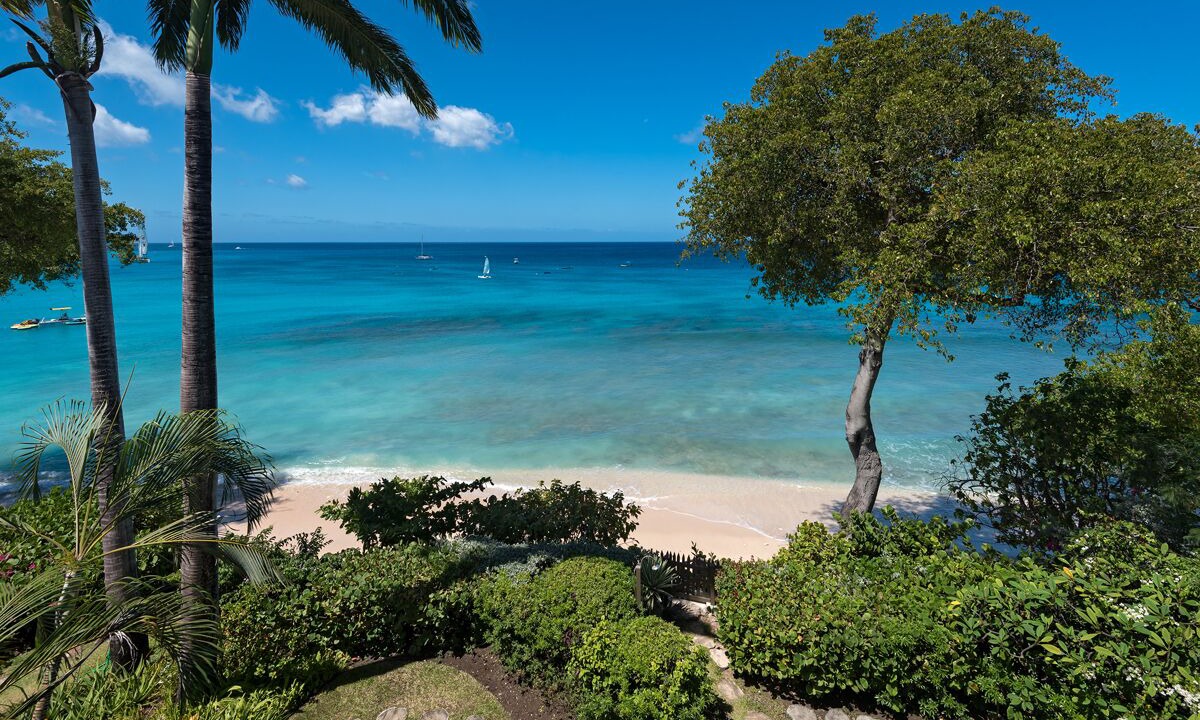 Photo of Others in Old Trees Bay